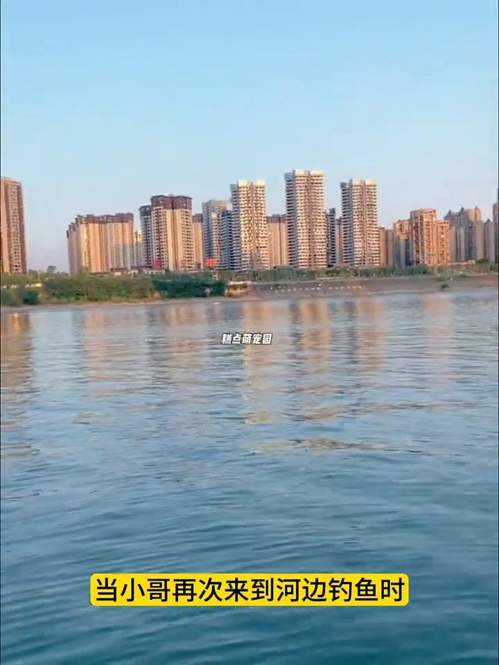 这是发生在自然界不可思议的一幕。小哥钓鱼时意外钓到一条娃娃鱼，一眼望去估计有个三