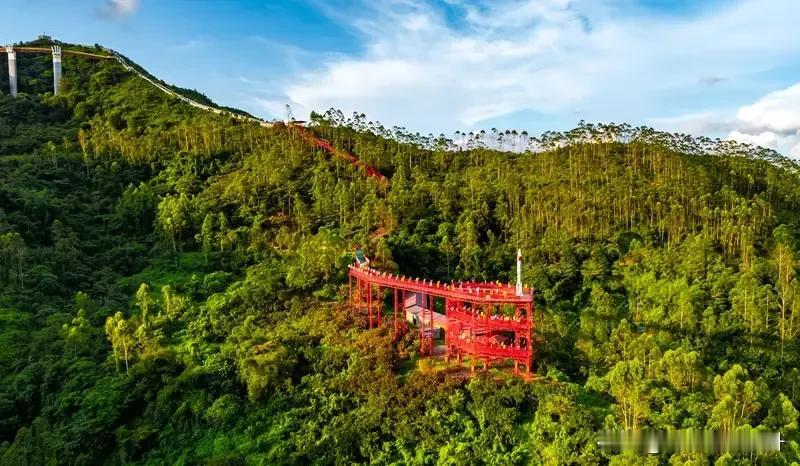 家乡之美麻城胜景映长空，翠影山光似梦中。龟岭杜鹃像火燃，浮桥仙阁享清风。