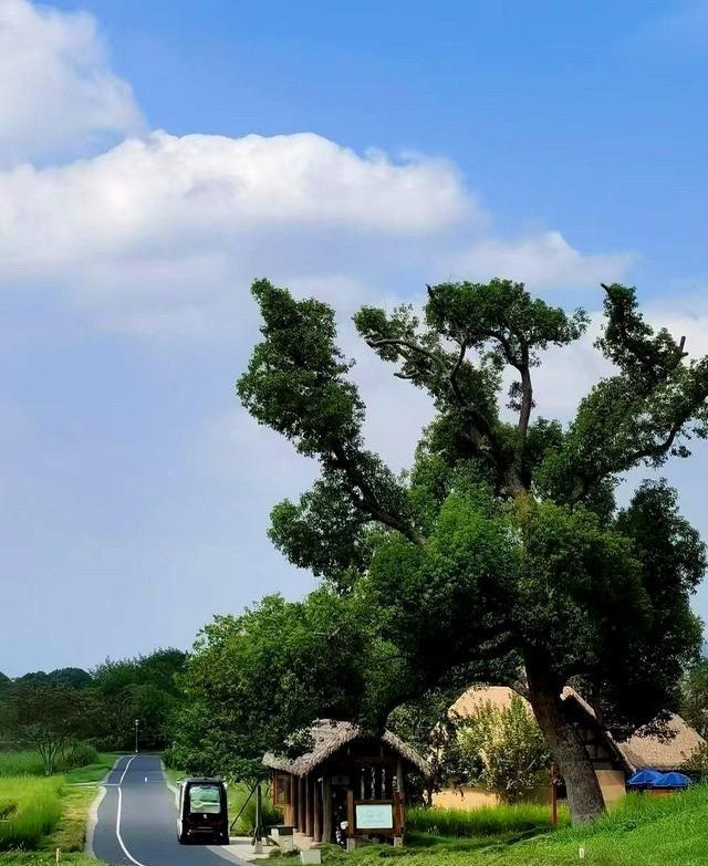 法庭上，最要命的问题，往往不是“他借你钱了吗？”那会儿法官要是冷不丁问你一句“