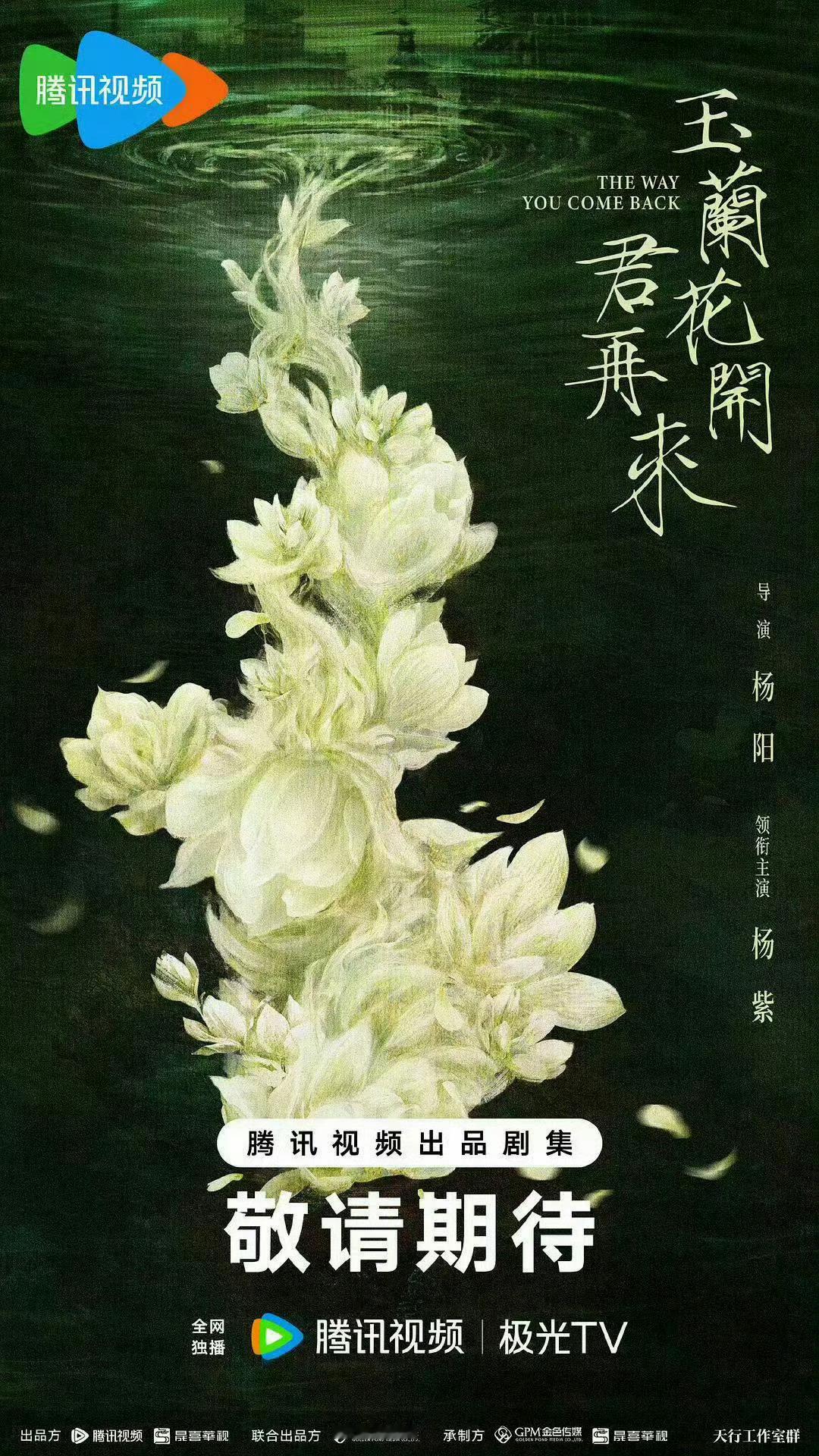 杨紫玉兰花开君再来11月底开机，可以，