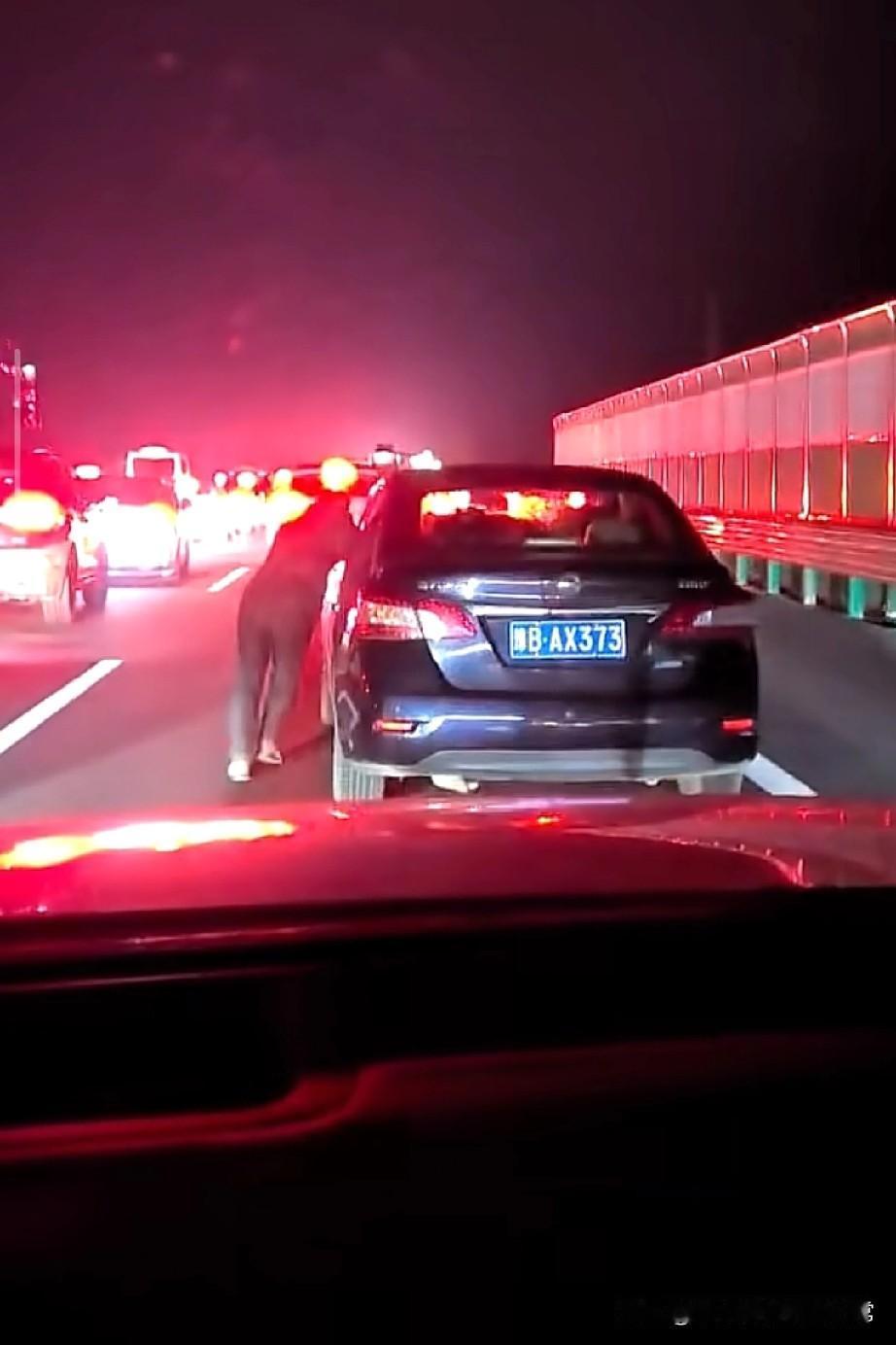 看把大哥堵着的，都下来推车了昨晚在高速上堵了快俩小时，前面那辆粤B的大哥直
