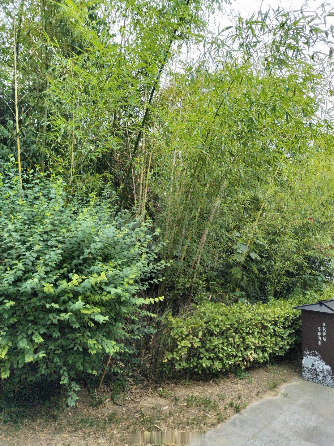 司马迁祠高山仰止，景行行止。
