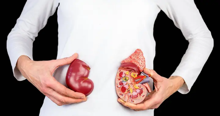 肾病沉默杀手：47岁男子忽视尿泡沫，终致肾衰竭！健康警示