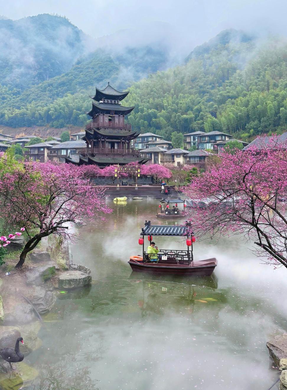 最好的养生就一个字:躲。 很多人养生花大价钱买保健品、熬夜追剧补觉、逼自己每