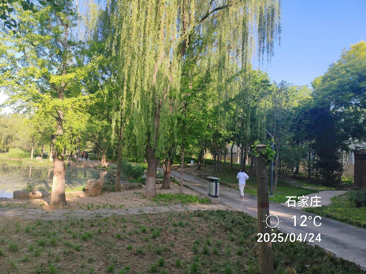 谁说石家庄土？看看清晨的国际庄，您还有什么说的？早晨遛弯来到了石