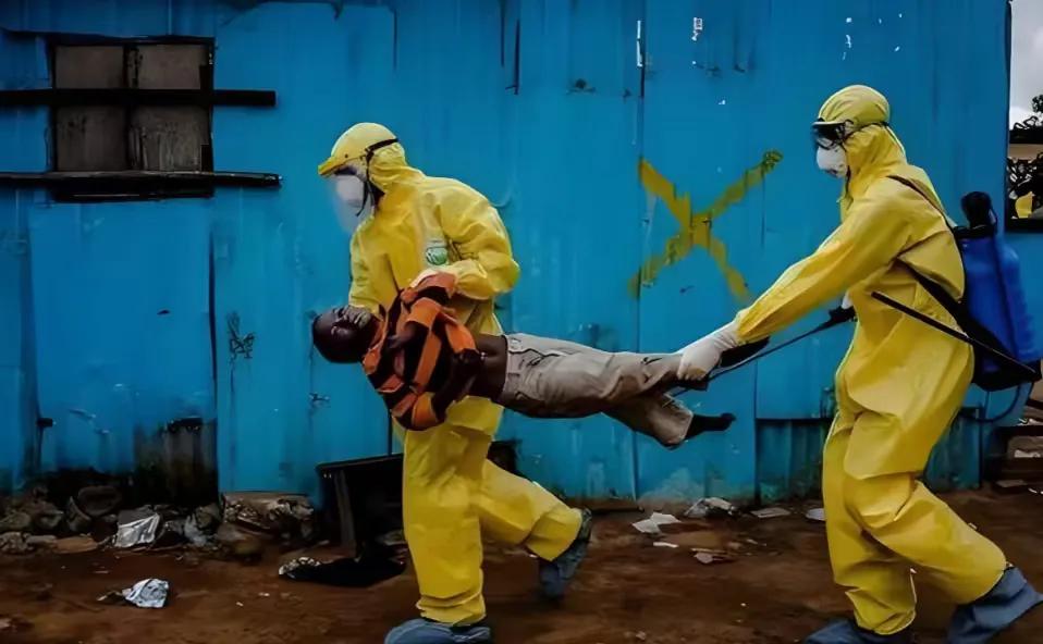 世界十大恐怖病毒：潜伏于阴影的致命威胁在人类与疾病的博弈史中，病毒始终是最隐