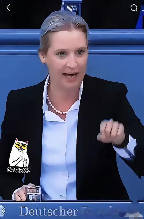 魏德尔机会来了！德国丢掉安理会席位默茨政府外交栽大跟头。当地时间3日，联合国安