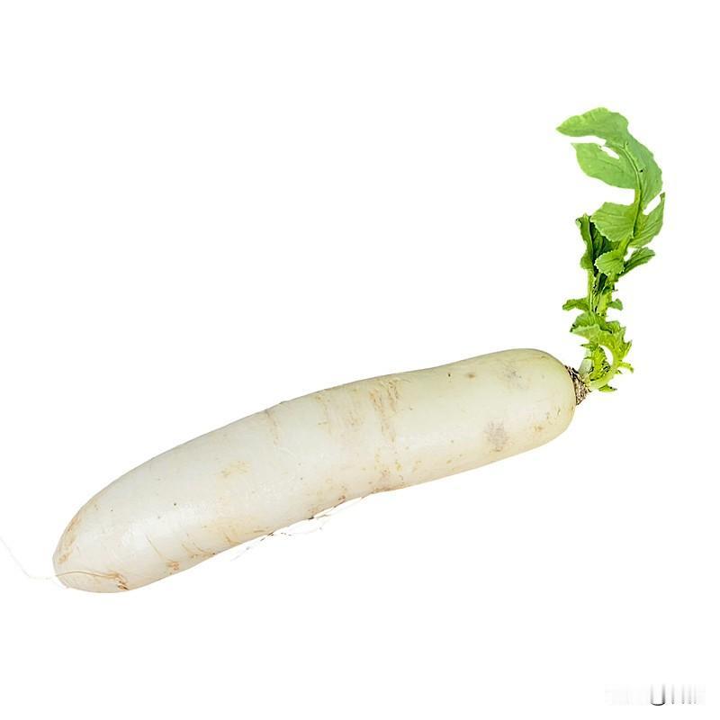 种植白萝卜怎么能减少辣味和苦味？白萝卜发苦、辣味重，大多是管理不到位造成的
