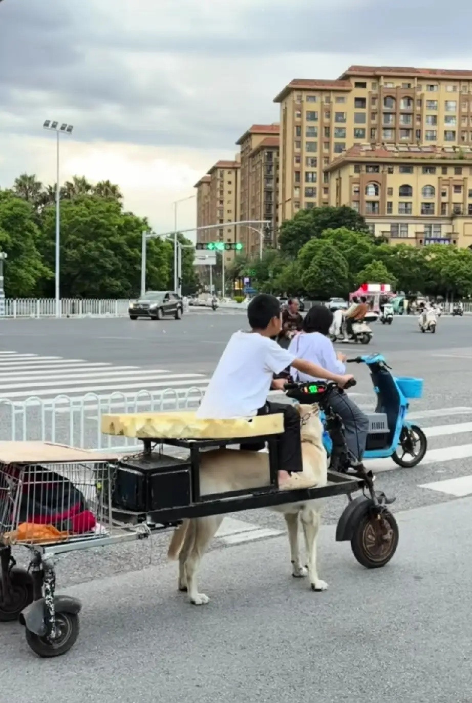 畜电混动三轮车
