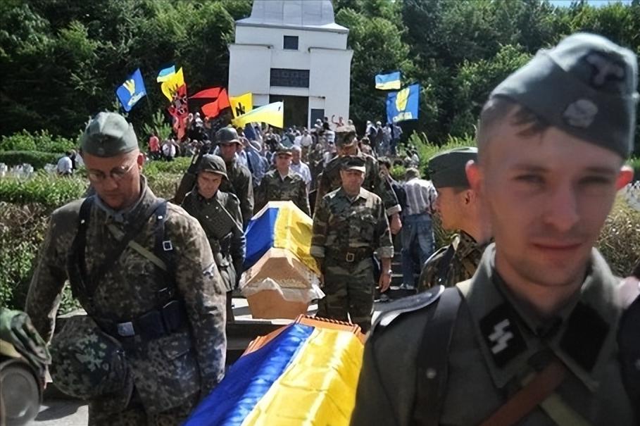 一位国际观察人士这样谈泽连斯基，可以说是字字诛心，让人后背发凉！ 美国政治学