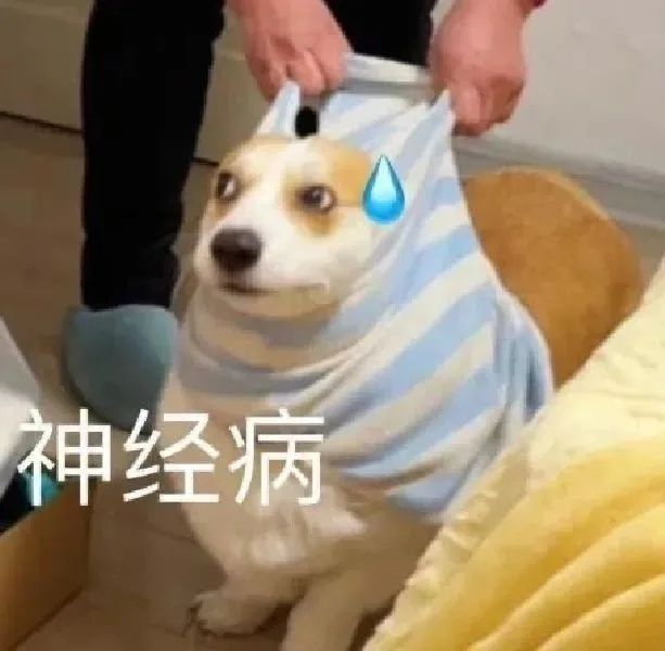 有趣的表情包！！