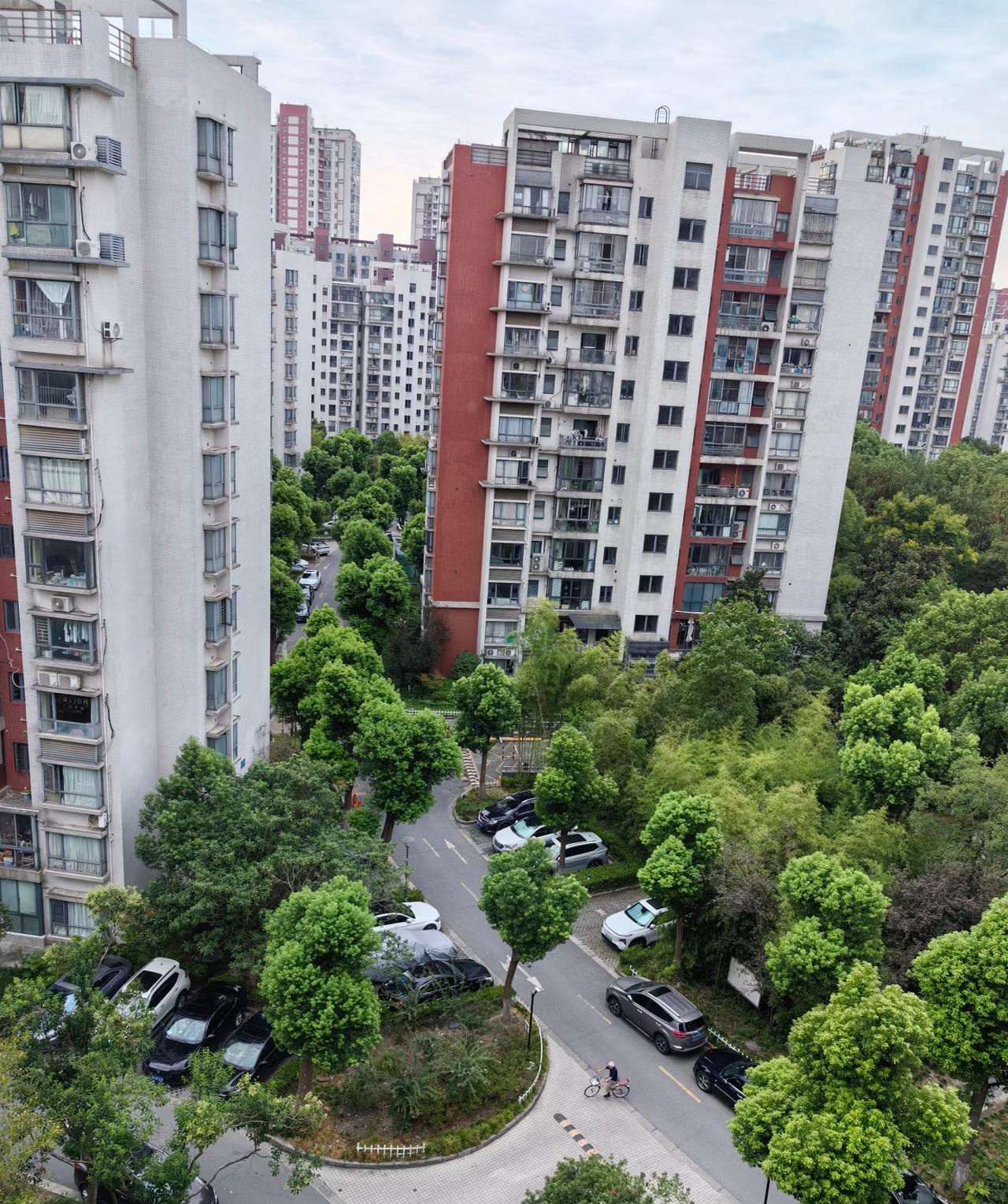 村里的王姨高价花110万买的房子，现在60万都没人买，每月还得还6000多的