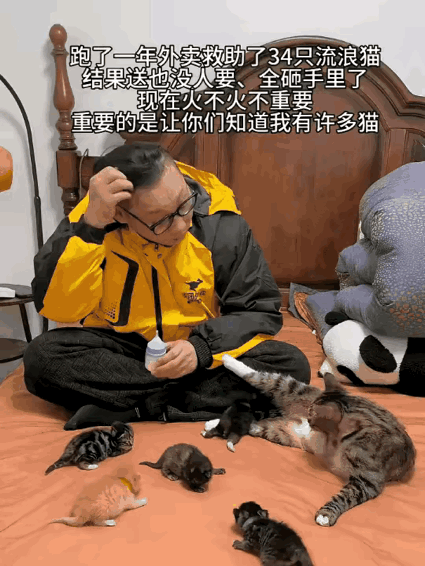 在杭州跑外卖的这位小哥，一年时间里沿路救下了三十多只流浪猫。他原本打算把猫治好养