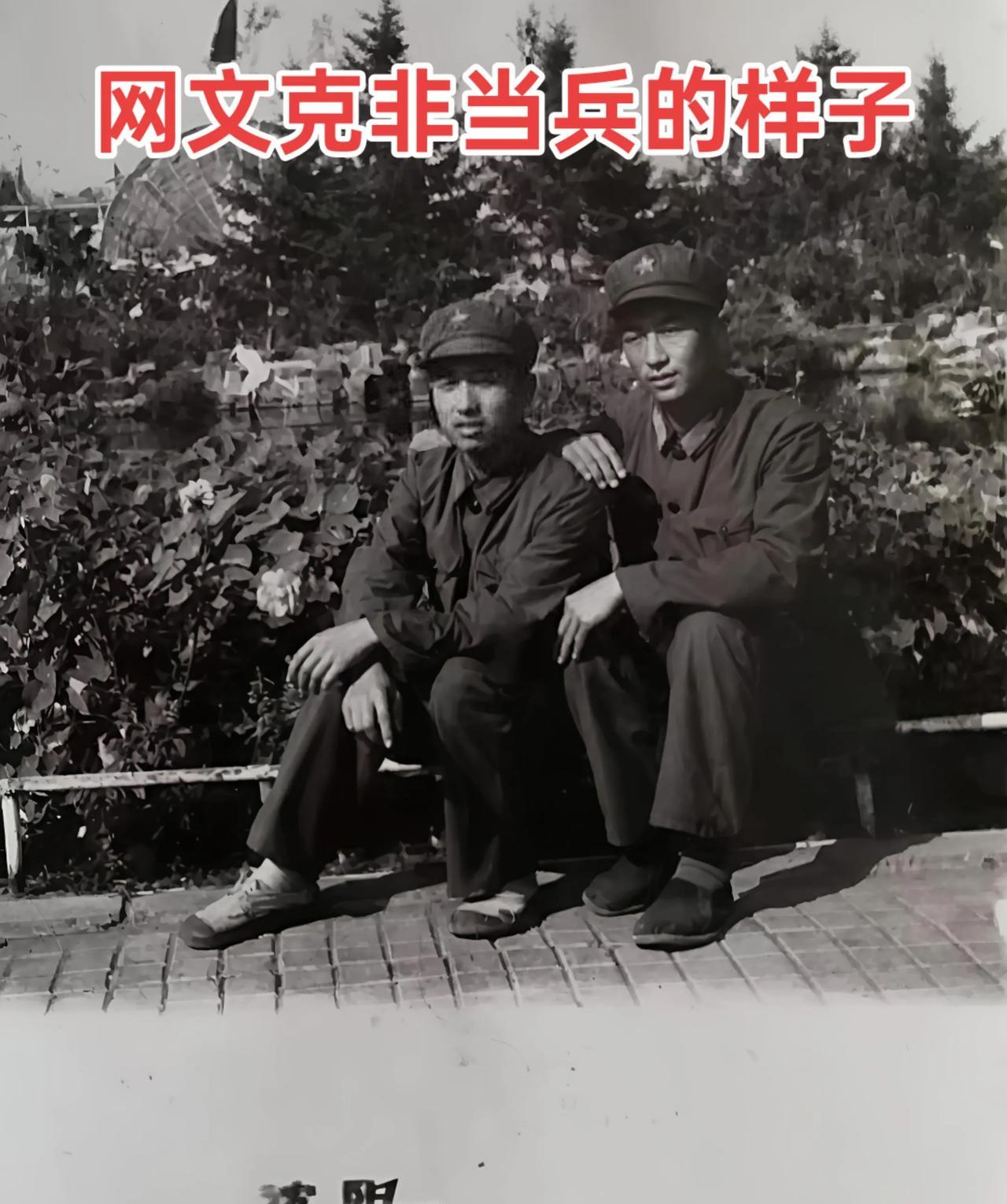 战友老田走了，活了67年。当兵喂了五年猪，他没有怨言，他一口山东话，不识几个字。