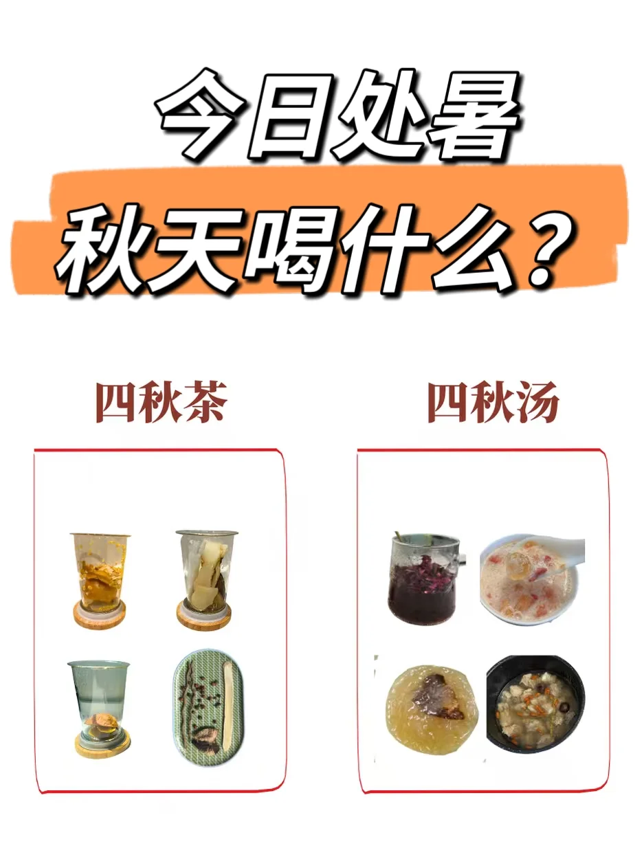 秋季茶汤，都汇总在这里！