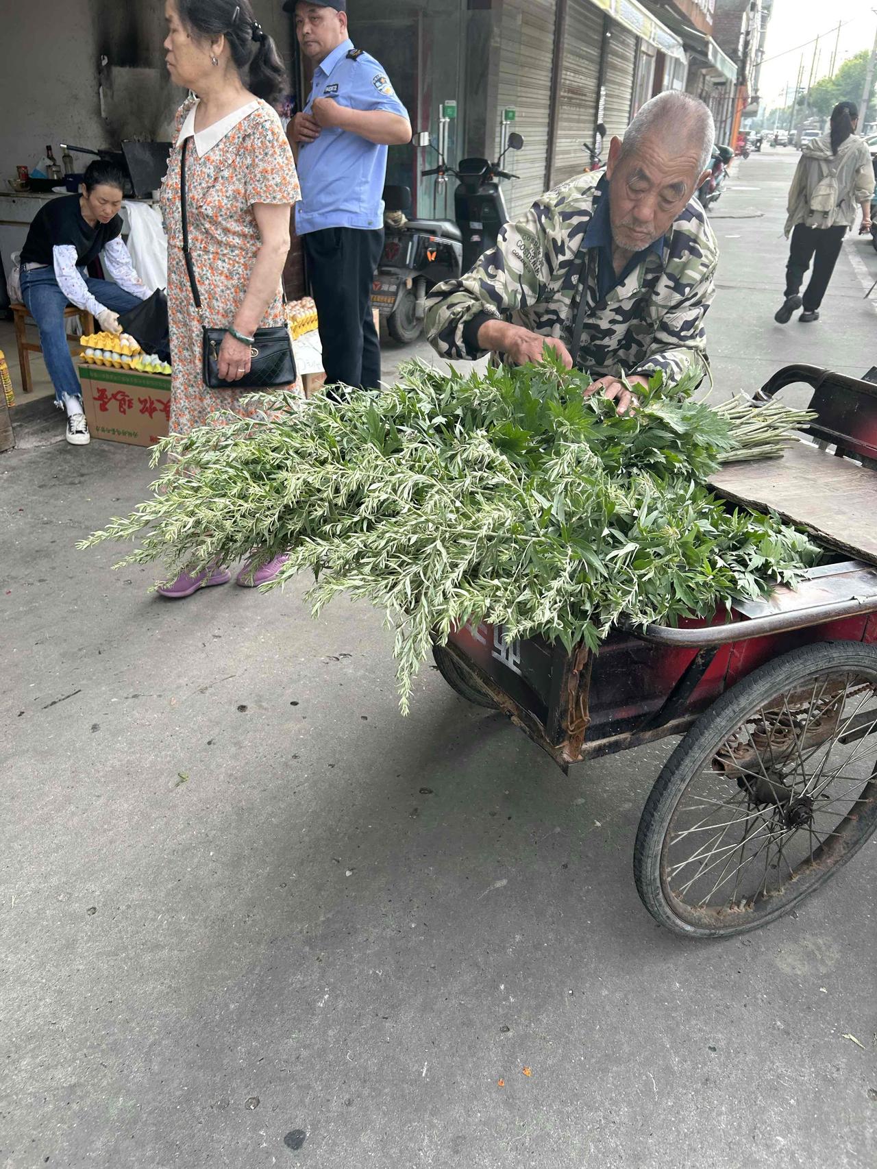 去菜市场买菜，菜市场门口几个人在卖艾草。听别人在问怎么卖：长的大的5块钱1把