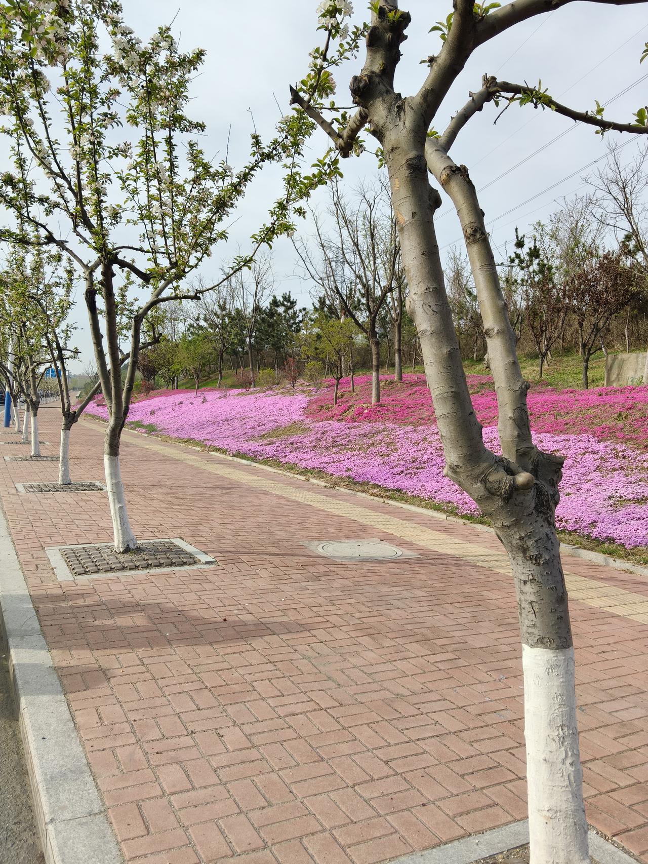 不嫉妒马云，只嫉妒身边人每当我看见马云、马化腾等大佬发家致富史，打心眼里佩