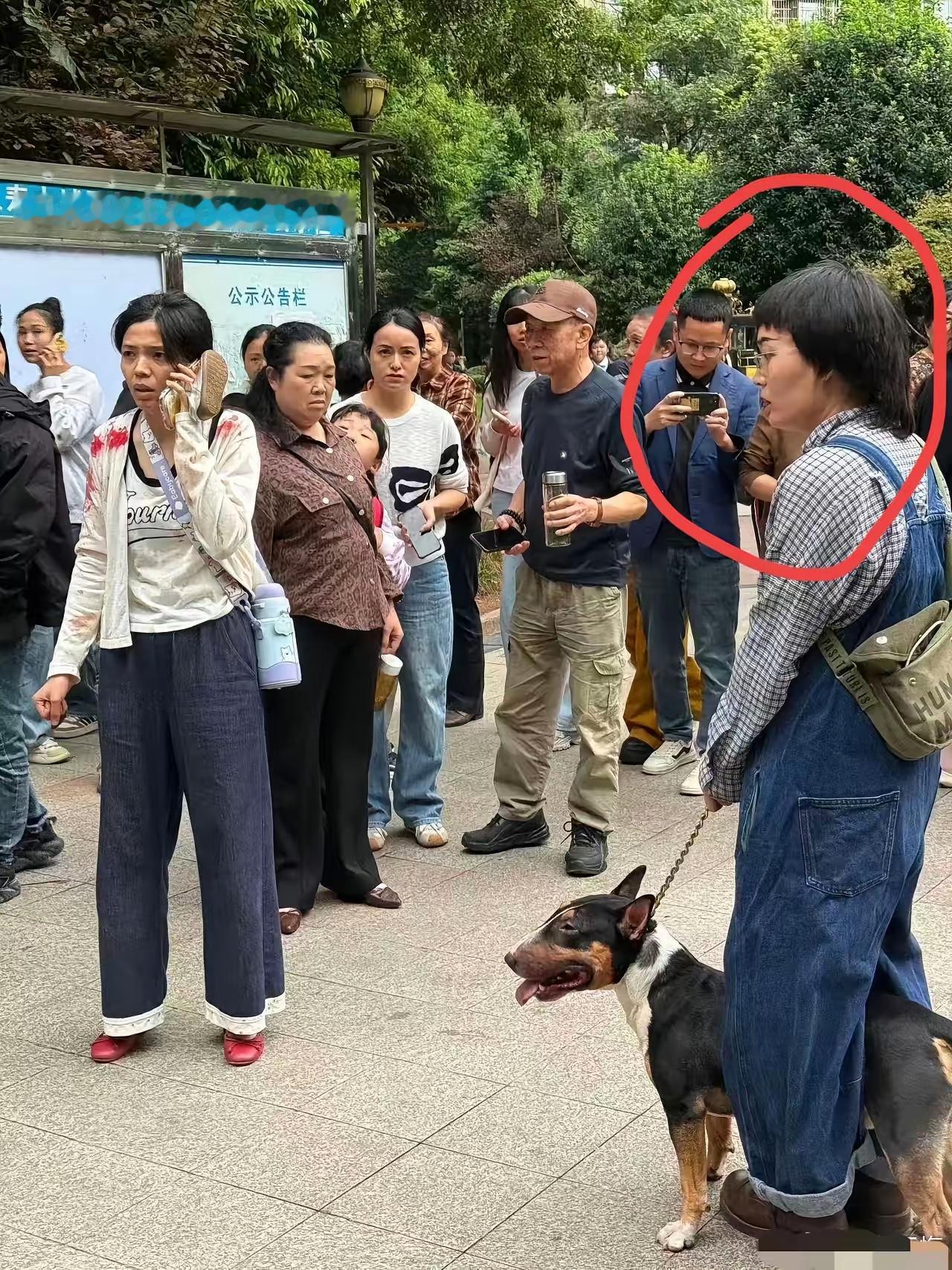 “牛头梗”女主称得上见过大世面的自家狗咬人后，首先就是把狗狗护在双腿之间，