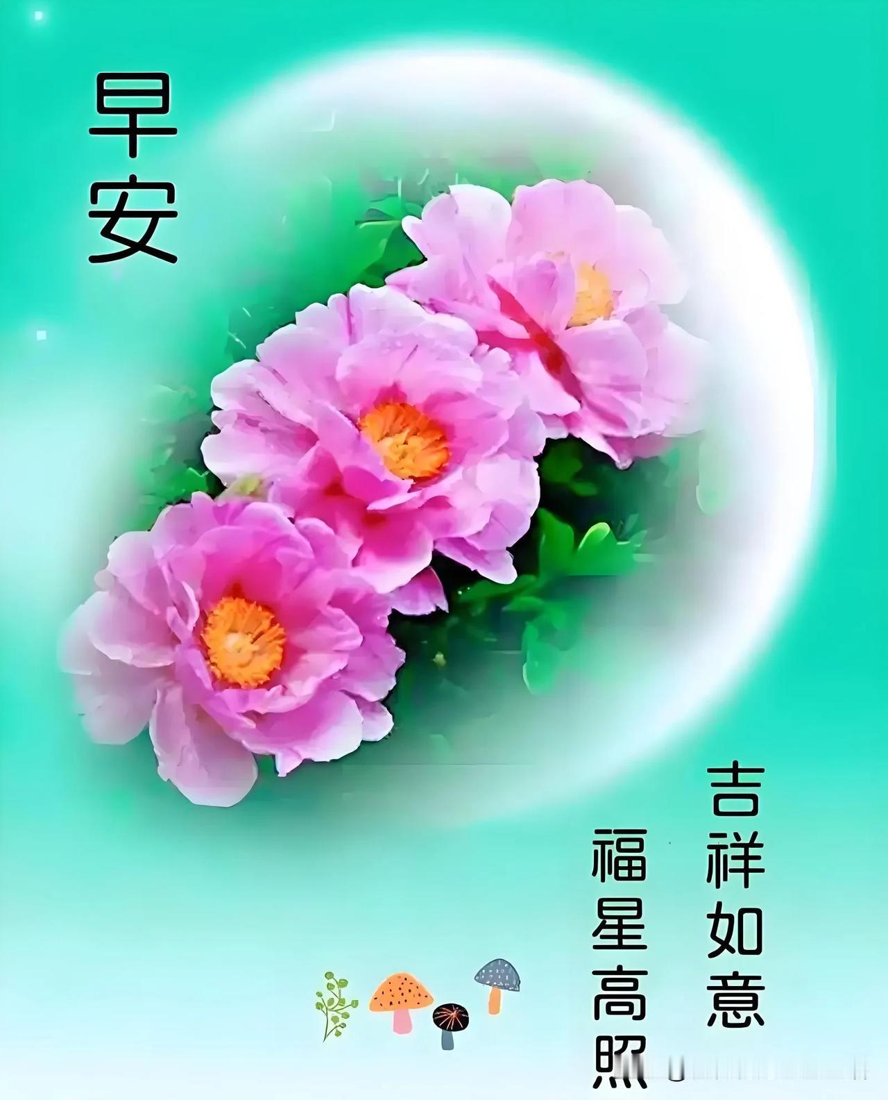 早安吉祥，福星高照，愿你一天好心情！🌸🌼🍄顺其自然早上好早安吉祥👐晨