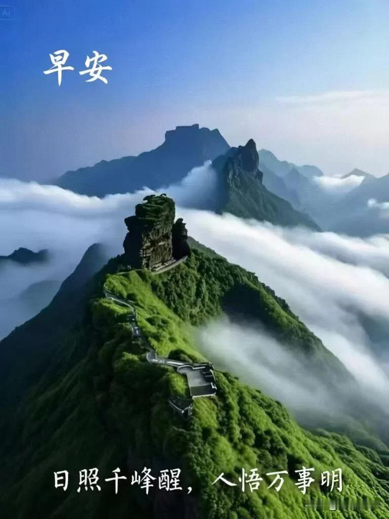 愿清晨的微风拂去疲惫，日子缓缓，健康常在，事事皆有温柔回响。