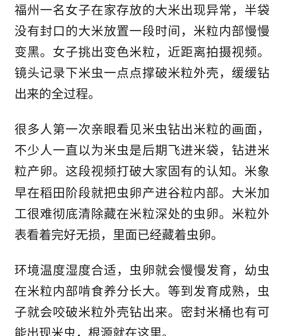大开眼界！女子拍下米虫从米粒破壳钻出全过程，网友：难得一见！