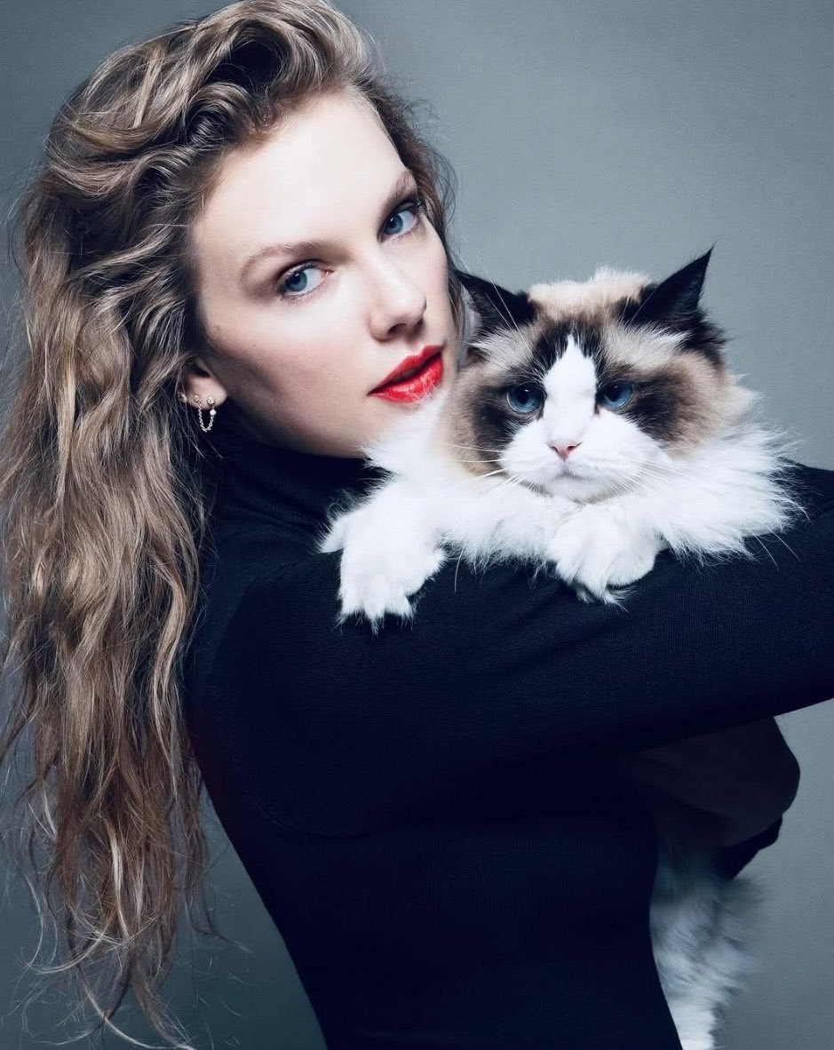 霉霉TaylorSwift正式为她的三只猫咪名字注册了商标:Meredit