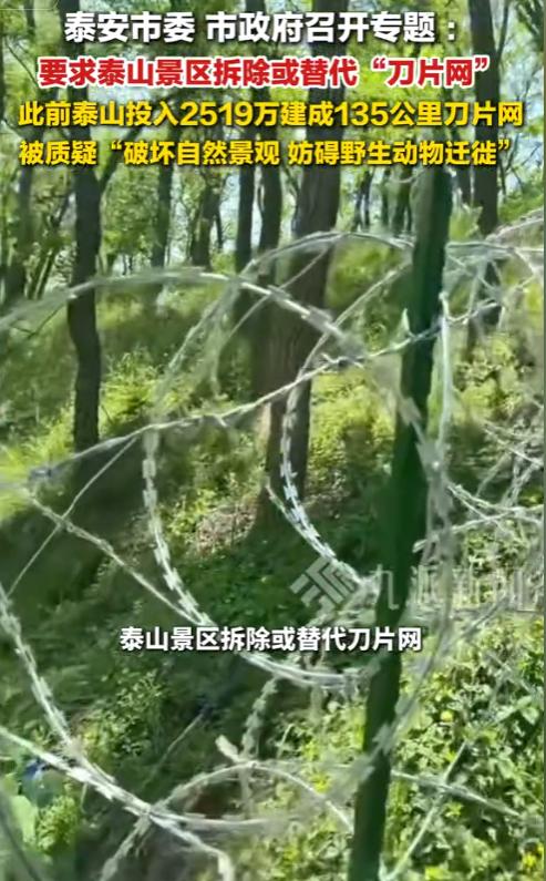 两千多万打水漂！泰山耗资修建的刀片刺绳隔离网全线拆除，这件事给所有人敲响警钟：重