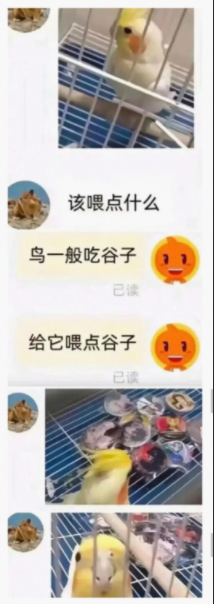 这是认真的嘛
