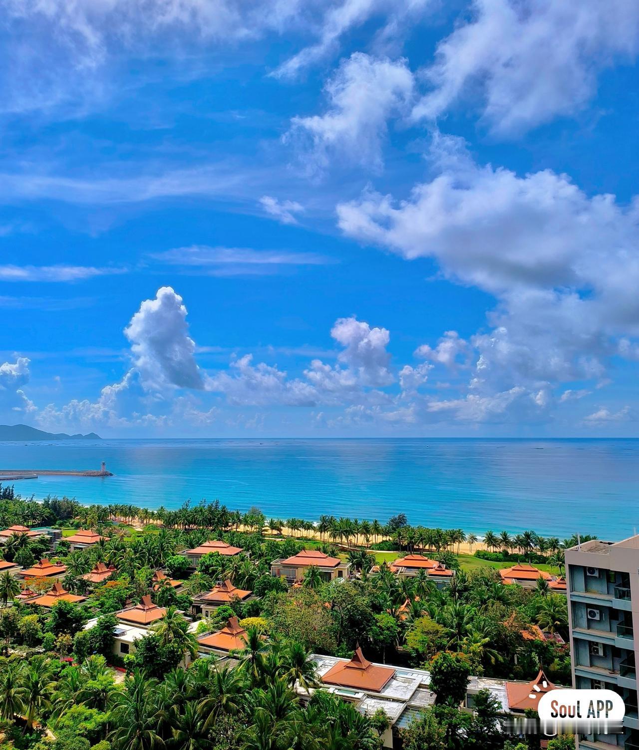 我第一次见槟榔树时，也傻傻分不清它和椰子树、棕榈树。后来仔细研究了下，它们区别还