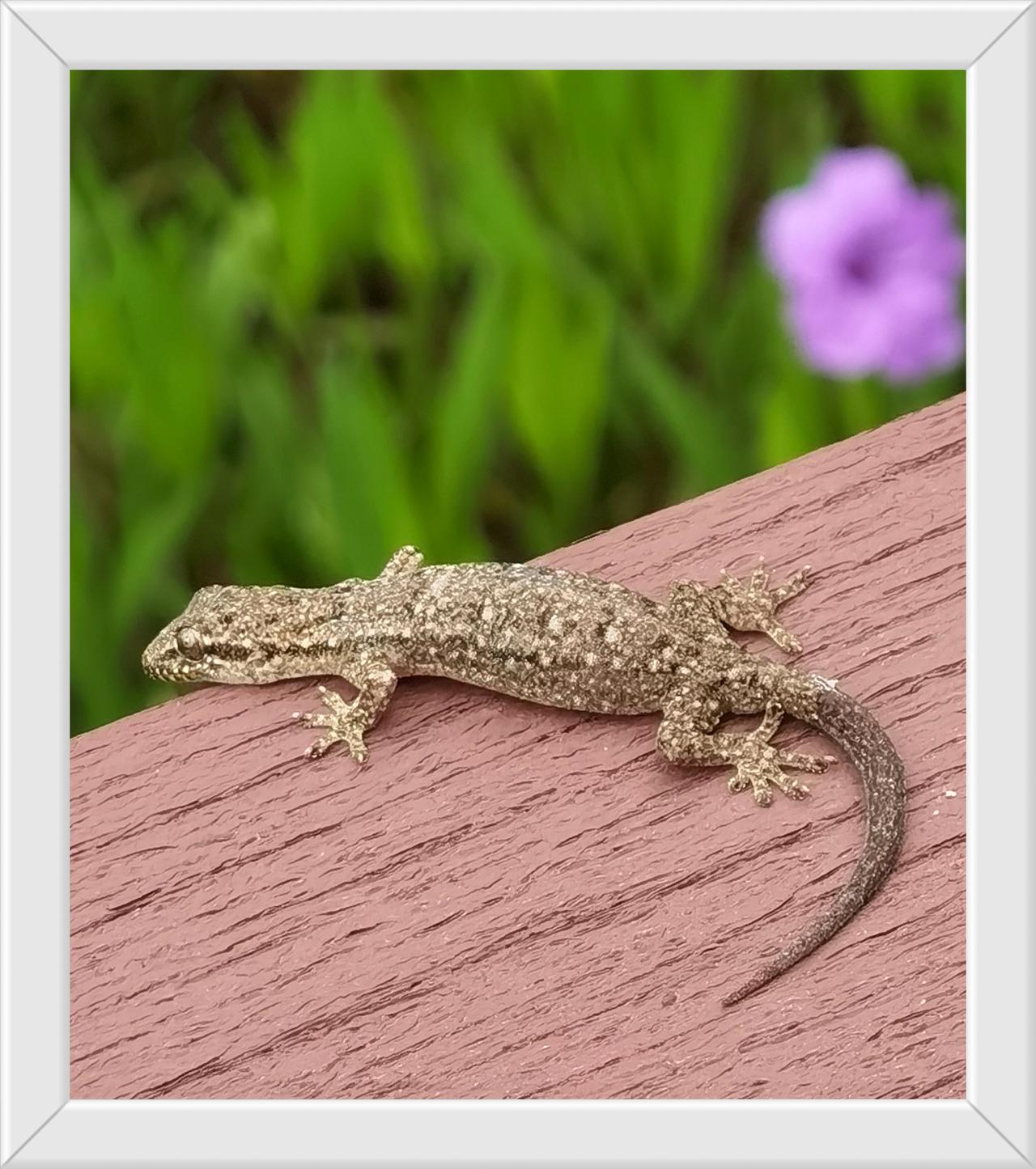 那叱汽车和万科的实践表明，职业经理人制度，并不适合我们的国情。花别人的钱，不