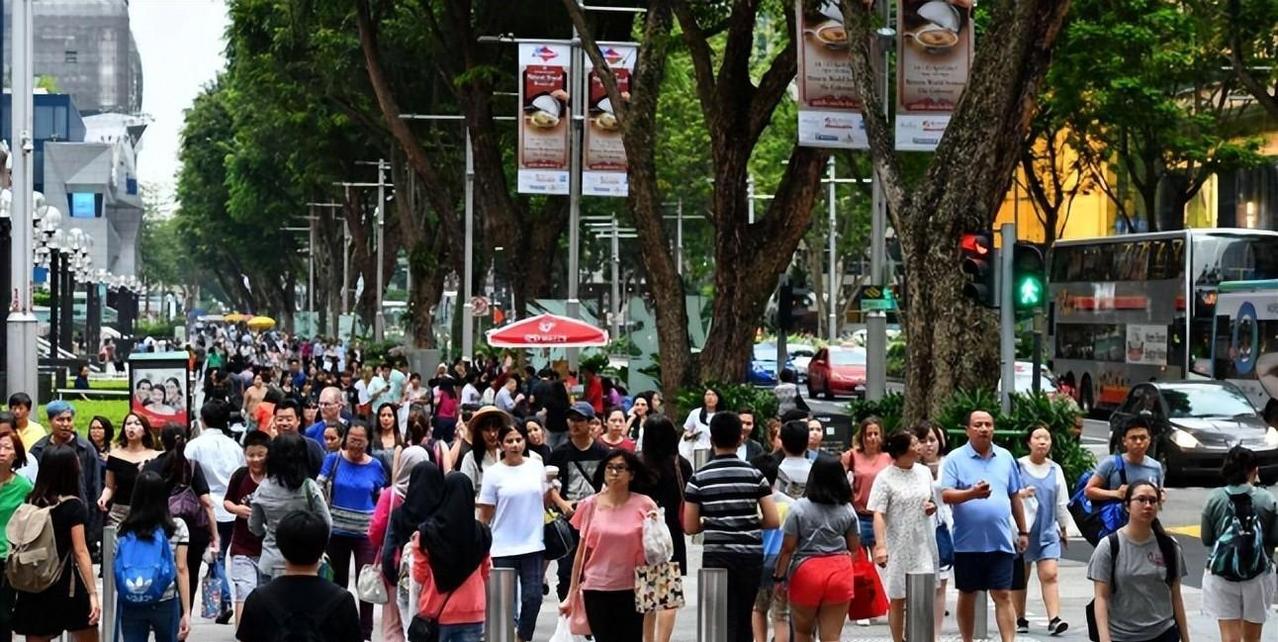急报！新加坡街头这阵子又被“种族比例”说法刷屏，别被口号带跑了，关键细节刚刚有新