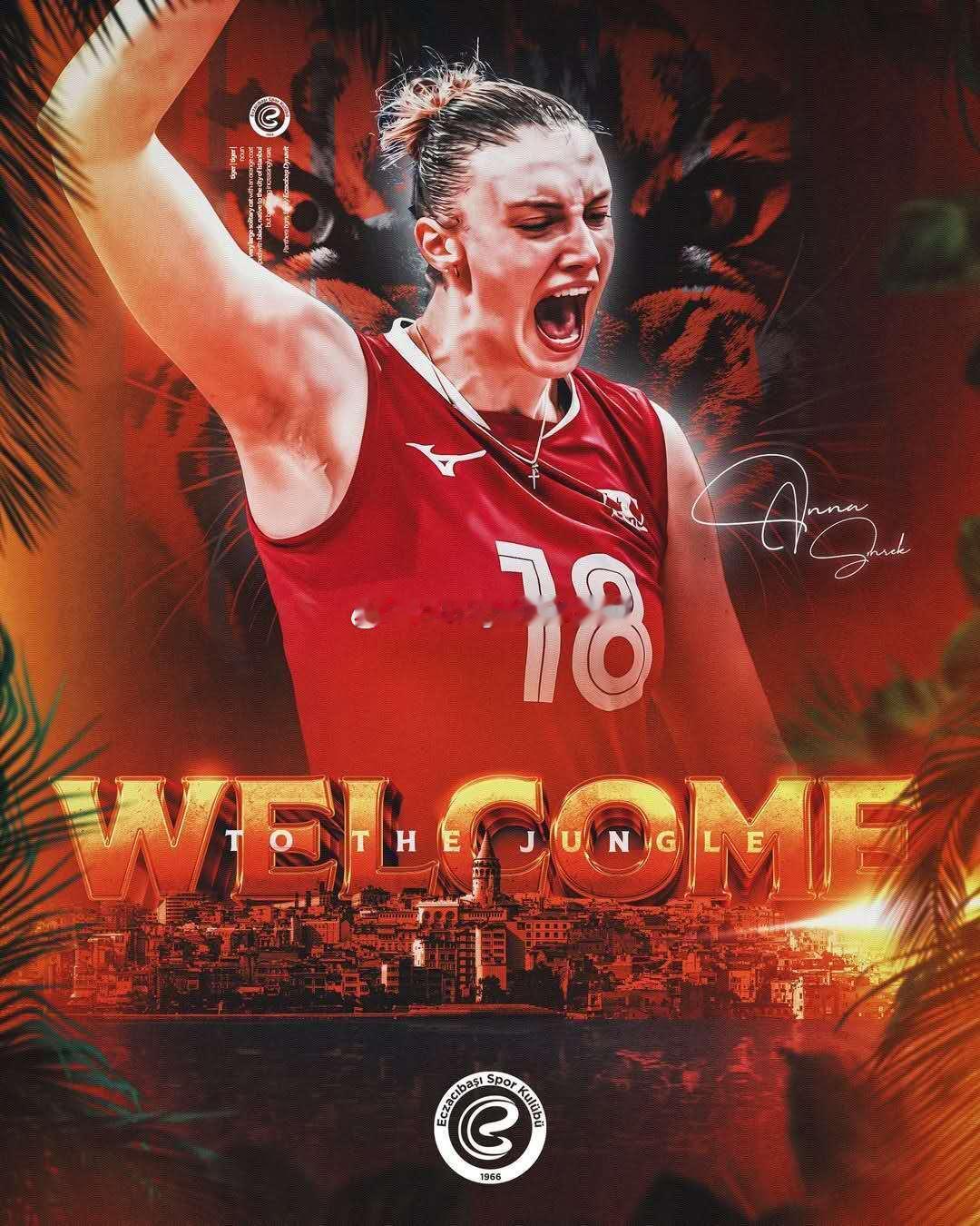 伊萨奇巴希官宣加拿大替补接应斯姆雷克加盟。加上近期传闻的伊萨在联系李盈莹和斯姆雷