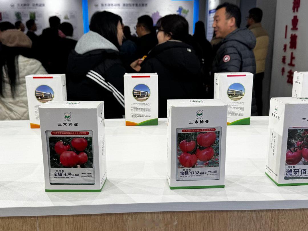 一粒山东种子里的国家安全感不止小麦玉米大豆这些主粮，山农酥梨、桔红65白菜还有