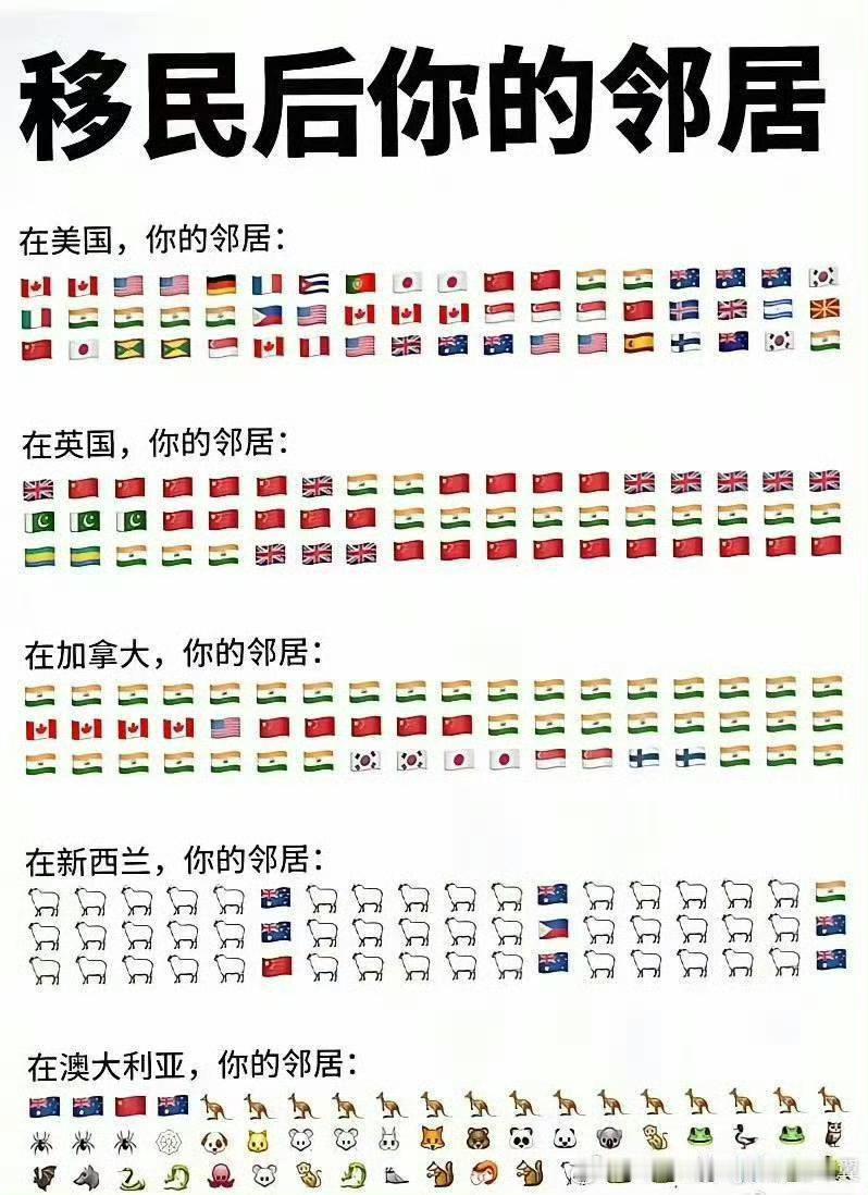 感觉去新西兰🇳🇿放羊不错【来自懂车帝车友圈】