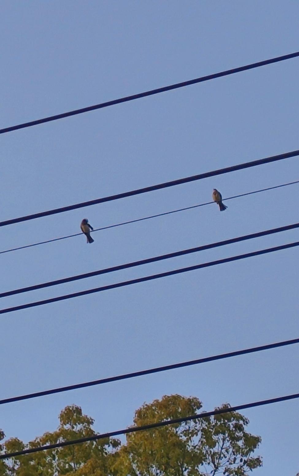 张雪峰为什么英年早逝说个玄学的东西人这一生的福分，是有总量的。见过一个老