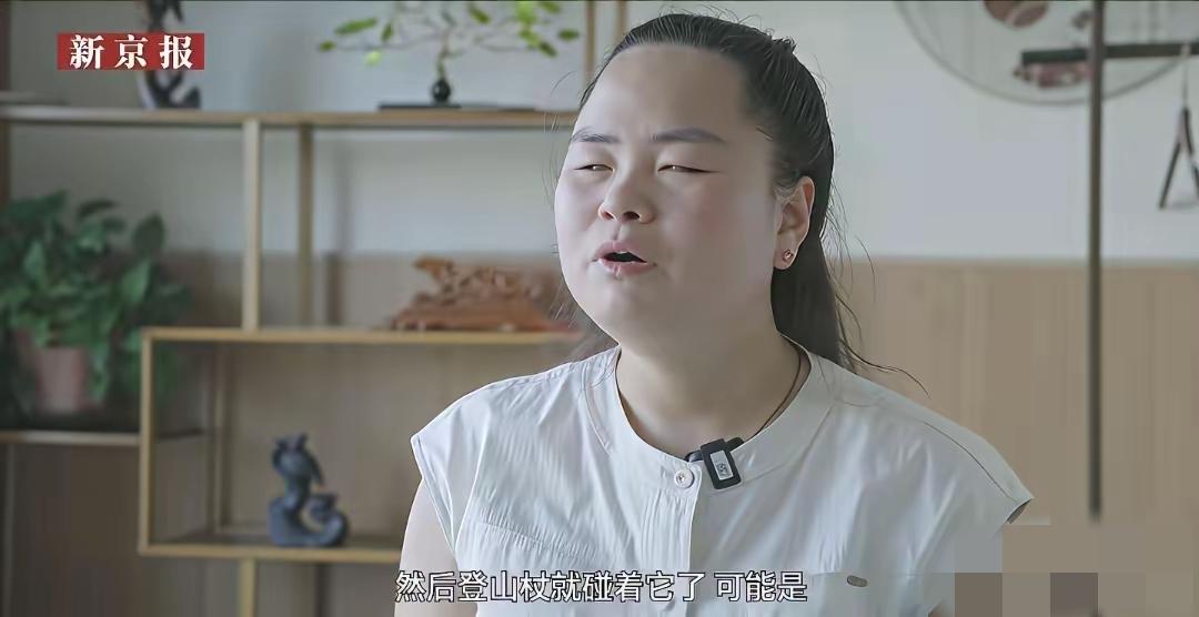 登山杖就碰到它了，是不是打了狗的意思？
