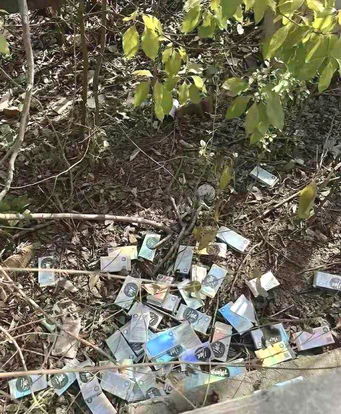 在森林公园发现的，这是什么东西，有谁知道，求解