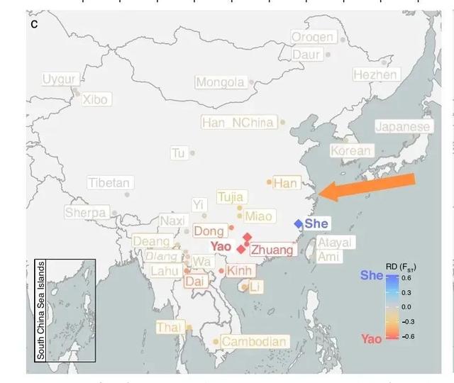 复旦和厦大连续实锤:基因检测证实中华文明起源于浙江!