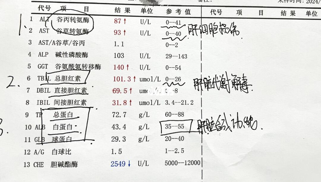 肝功能这3项指标正常，你的肝脏基本无碍！﻿肝功能﻿ ﻿医学科普﻿ ﻿健康科普﻿