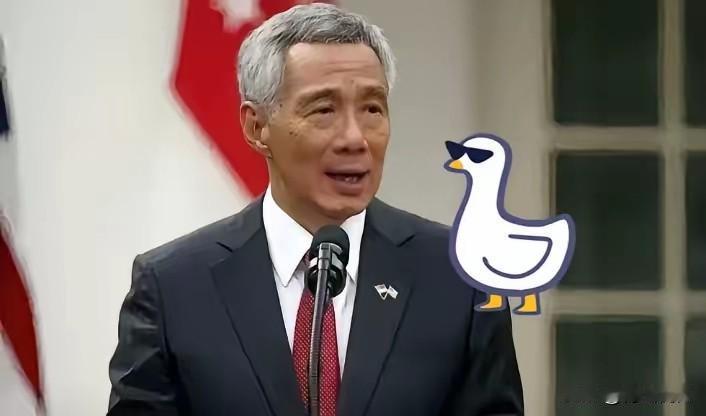 看到马六甲海峡的港口竞争，才发现新加坡的4112万标箱里九成靠中转吃饭。但对比上