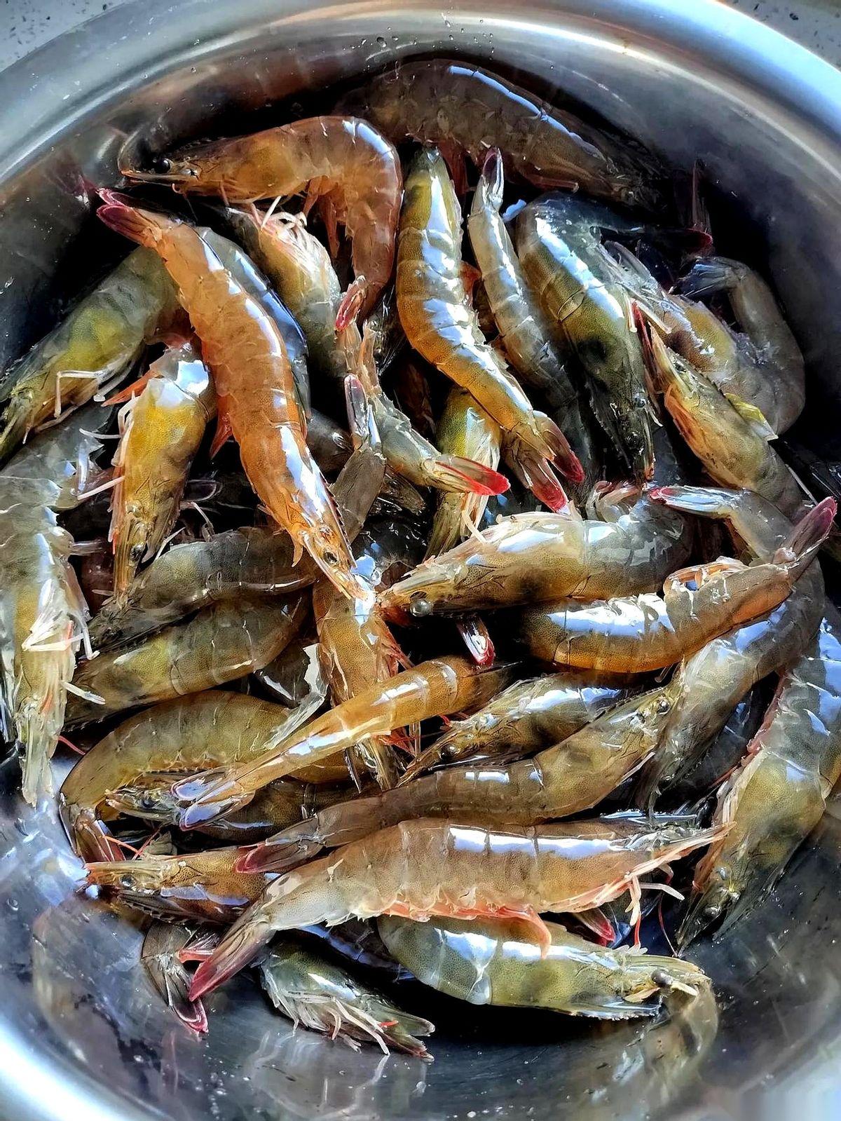 四斤活虾倒进盆里扑腾的那一刻，我就知道，今天这集，没白赶。感觉自己不像去逛了个