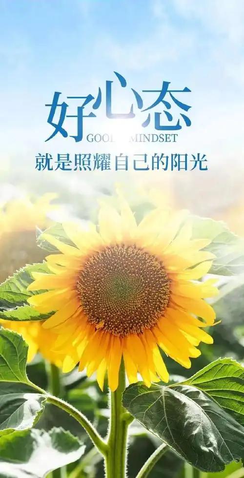 活到中年才懂：女人真正的靠山，从来不是婚姻和男人先问所有女人一个扎心的问题