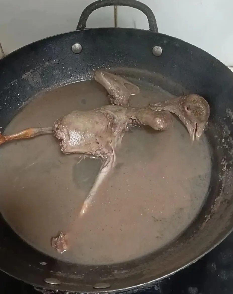 婆婆给我炖的鸽子，我说不想吃，她就让我喝汤，这汤像涮锅水一样，谁喝得下去，无语了