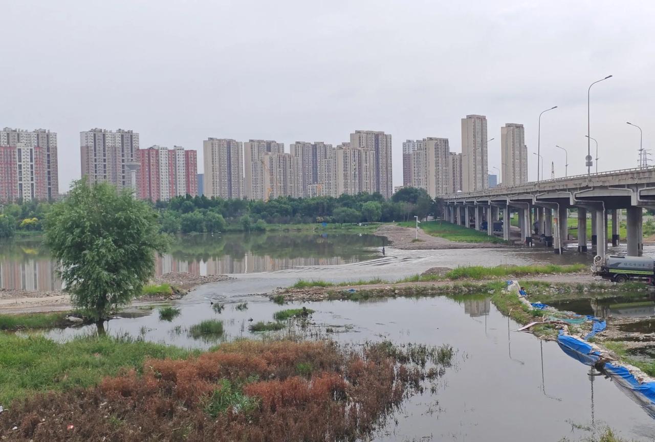 上午，莲石西路，跨永定河高架桥下看到河水明显增多，以前桥下很窄，很多水鸟在嬉戏！