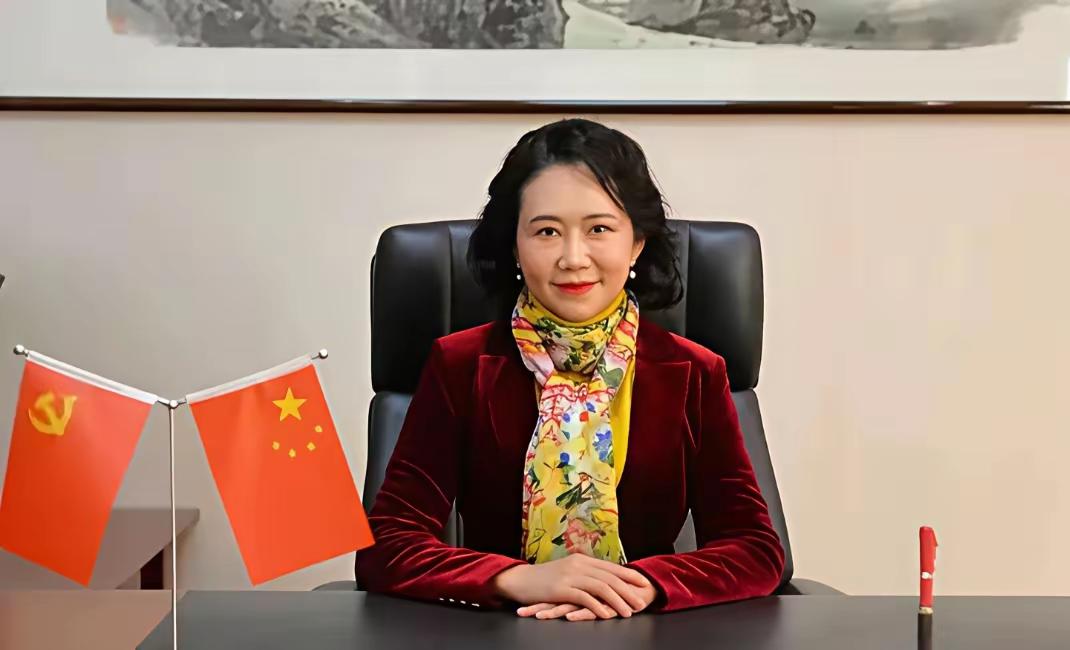 多米诺骨牌开始倒下了，一群刚毕业的学生，直接把录音和聊天记录翻成德文、英文，发给