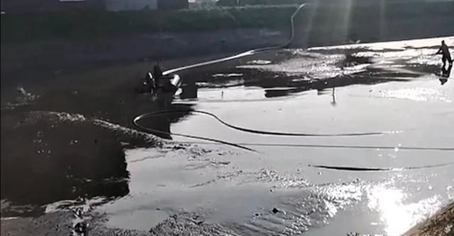 1980年，江苏两小伙在清理废弃鱼塘时，结果竟从塘底淤泥里刨出两尊小金佛来，两人