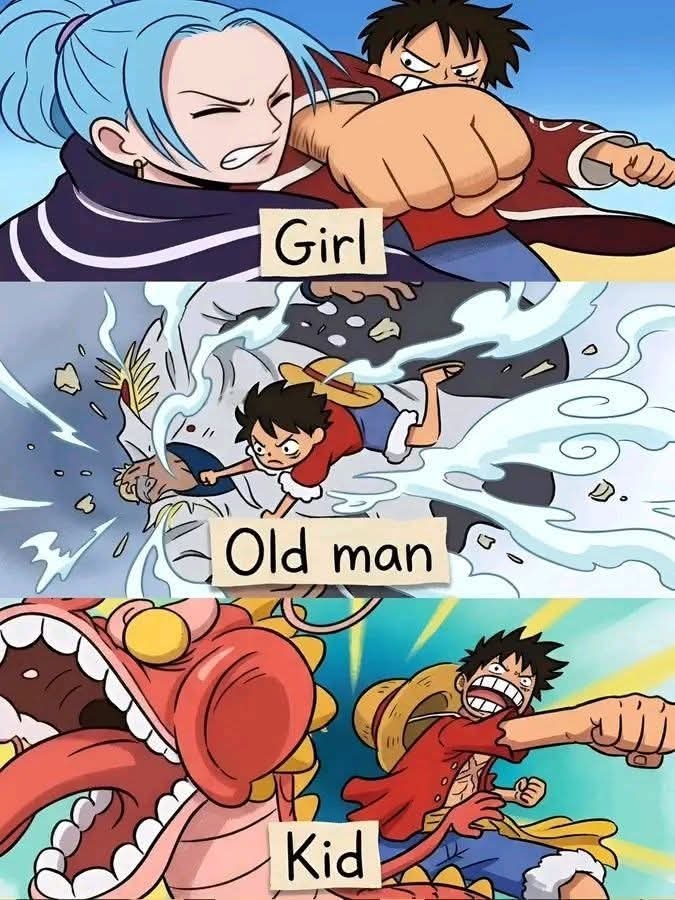 海贼王海贼王就是如此平等对待所有人