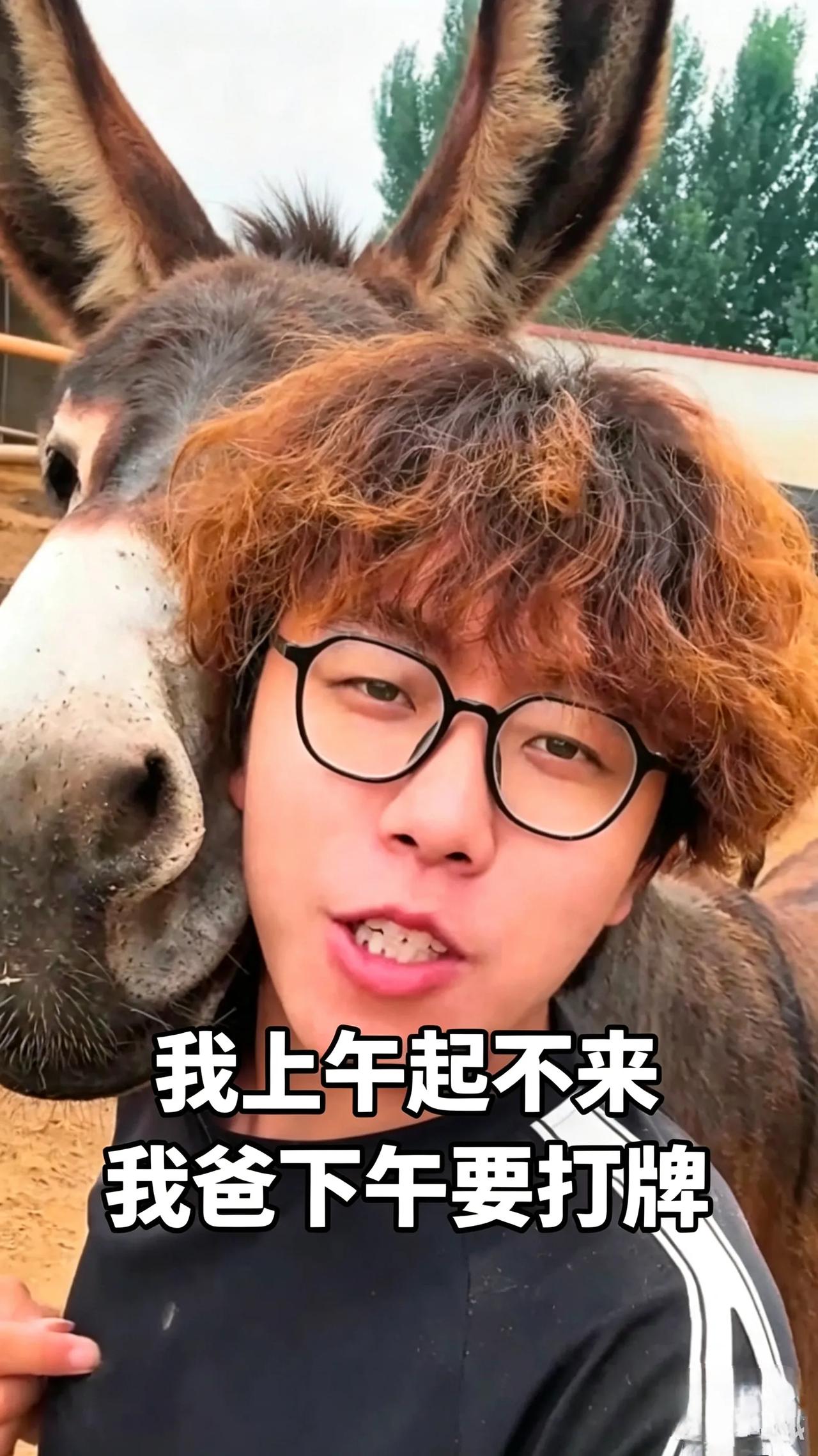 大学毕业跟着父亲卖驴，父子俩的分工，背后缘由实在有意思不少人难以理解，大学生毕
