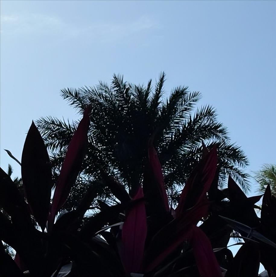 山西：今日执纪审查1人 12月28日11:30，山西：执纪审查1人，为省上的