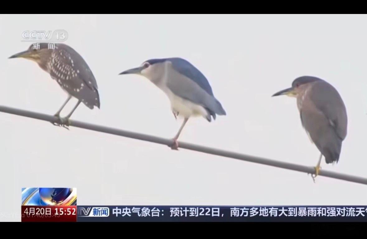 谁看到这图能不笑啊。。。。。